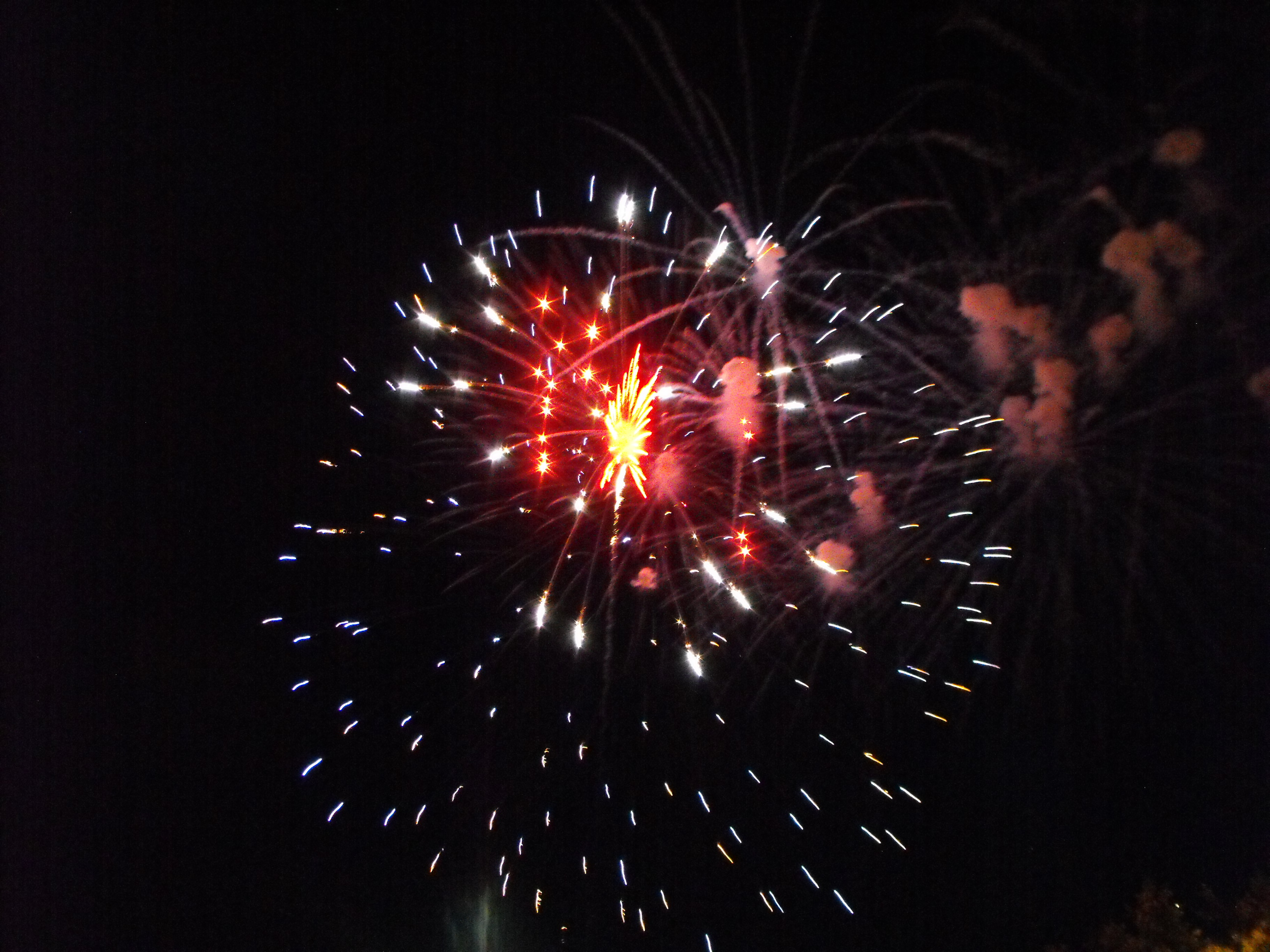 ./2010/Fourth of July/4th July pt 2 0004.JPG
